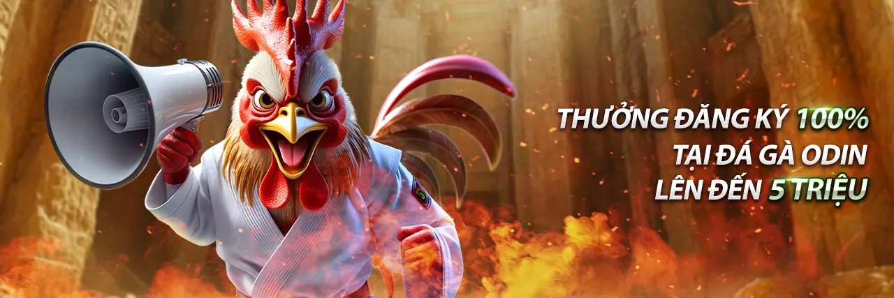 Hình ảnh giới thiệu thomo38 - nền tảng cá cược trực tuyến hàng đầu